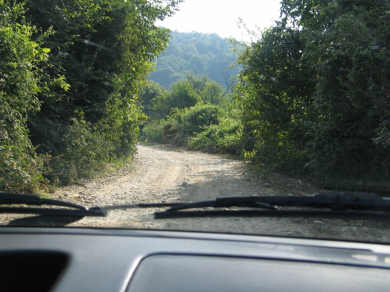Original image